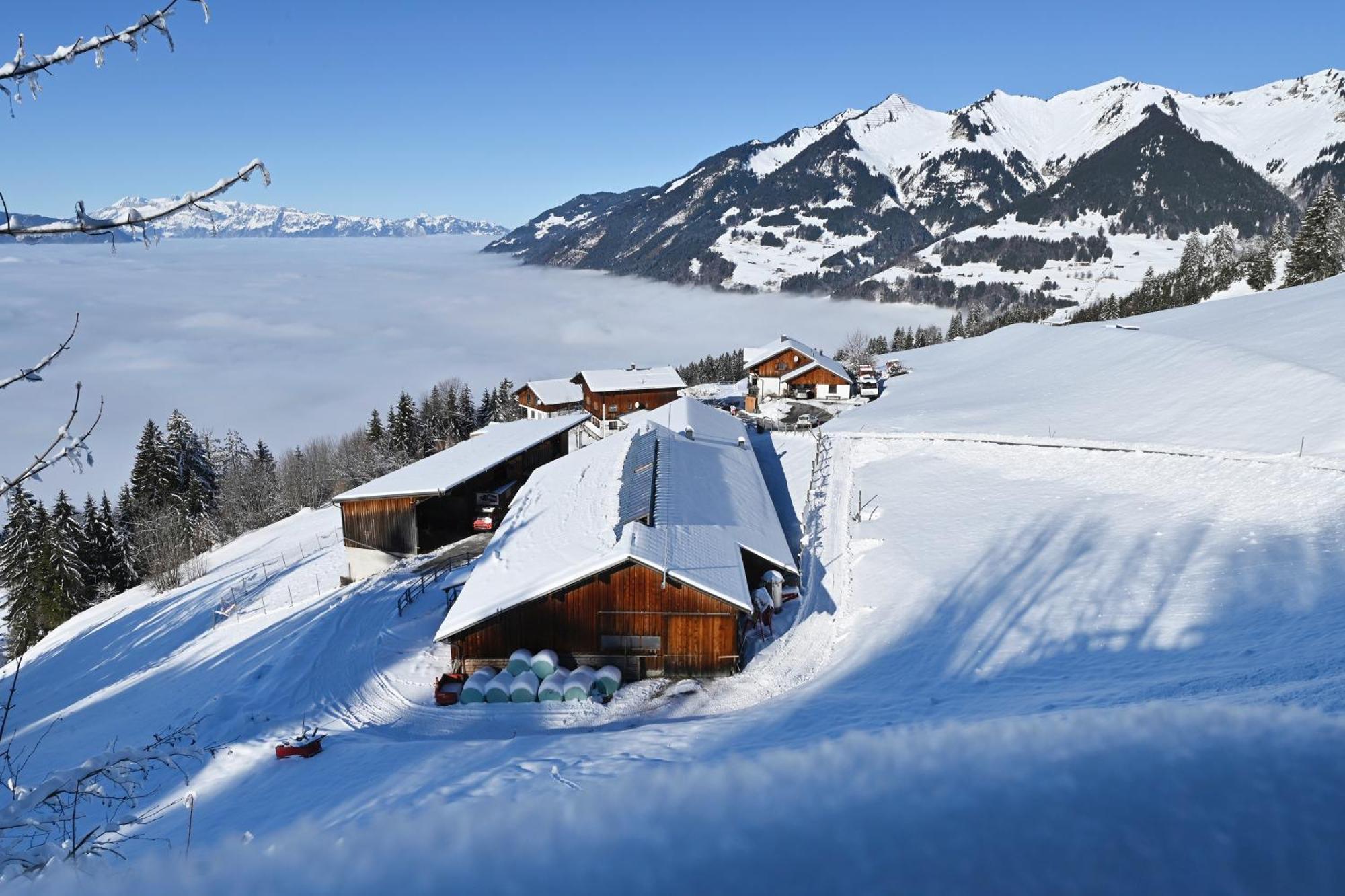 Berghof Burtscher Ludesch Zewnętrze zdjęcie
